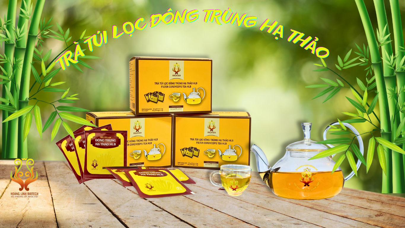Trà túi lọc Đông Trùng Hạ Thảo, một sản phẩm tiện lợi và tốt cho sức khỏe, tương tự như các giải pháp hiệu quả mà CÔNG TY TNHH CƠ ĐIỆN HOÀNG LINH mang lại cho khách hàng.