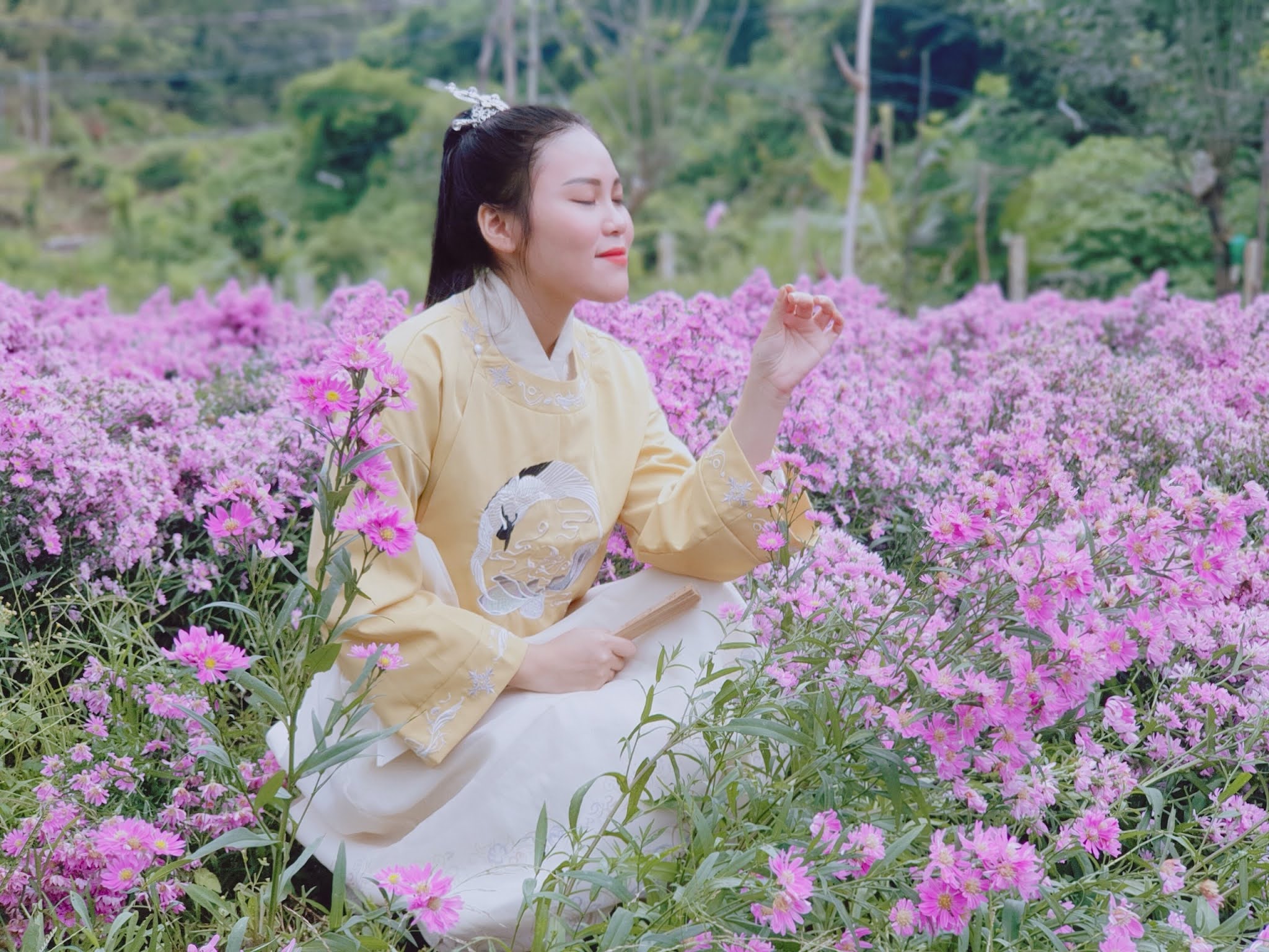 Vườn hoa thạch thảo tím Đà Lạt