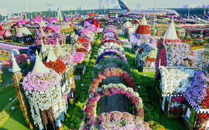 allintitle:Vườn hoa lớn nhất thế giới Dubai Miracle Garden rực rỡ giữa sa mạc