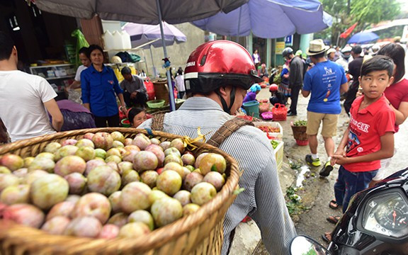 Anh Lý Seo Phử gùi những gùi mận nặng trĩu trên đồi xuống thị trấn Bắc Hà
