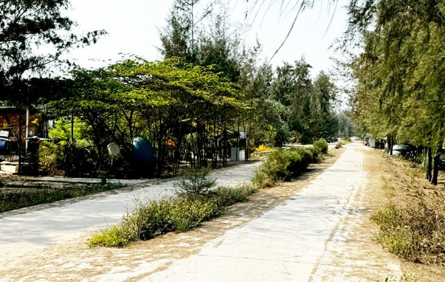Một đoạn của công trình đường ven biển Đức Lợi. Ảnh: Công Hoàng.