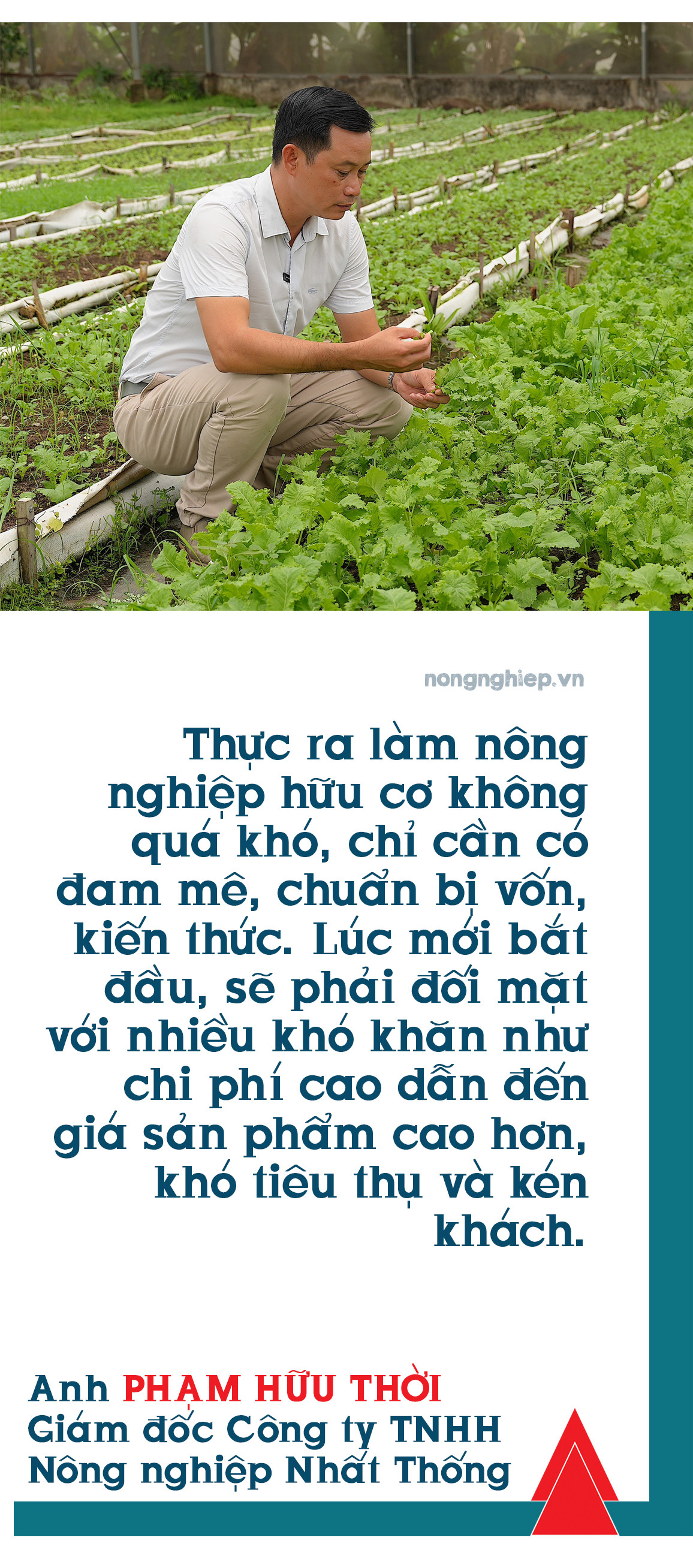 Một đàn gà đang tận hưởng không gian sống rộng rãi, tự do bới tìm thức ăn, minh họa cho mô hình chăn nuôi hữu cơ đạt chuẩn của CÔNG TY TNHH NÔNG NGHIỆP NHẤT THỐNG
