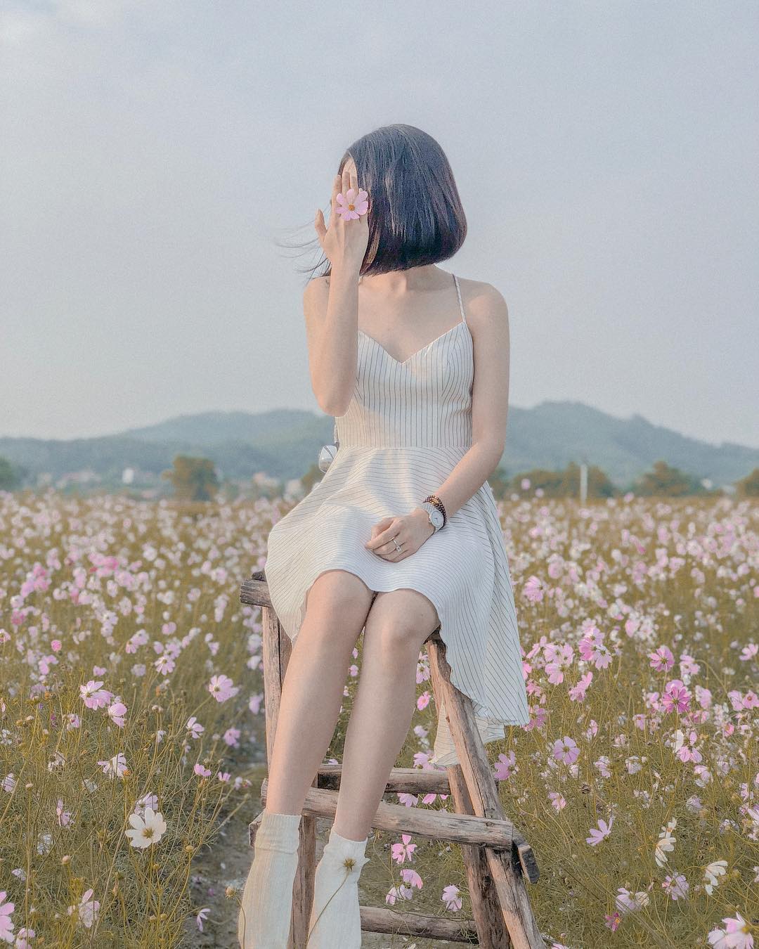 Cặp đôi lãng mạn chụp ảnh cưới giữa Vườn hoa hướng dương bắc giang và khung cảnh lãng mạn của Rosegarden