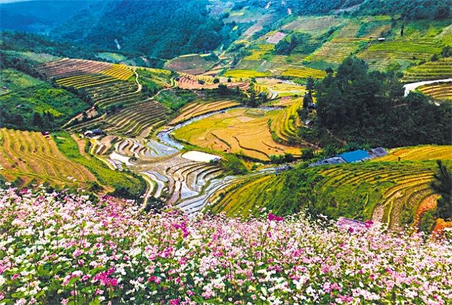 Bản Thái, điểm đến văn hóa trên bản đồ du lịch Mù Cang Chải