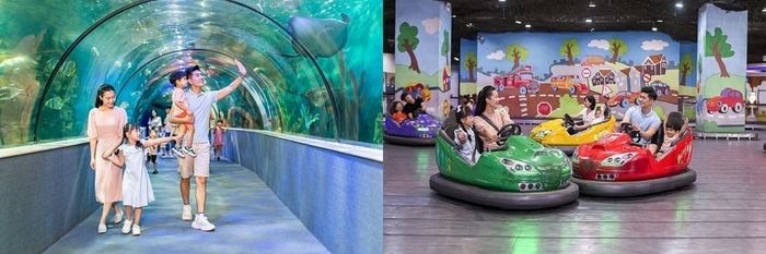 VinKE & Vinpearl Aquarium – điểm đến giải trí cho gia đình tại Hà Nội