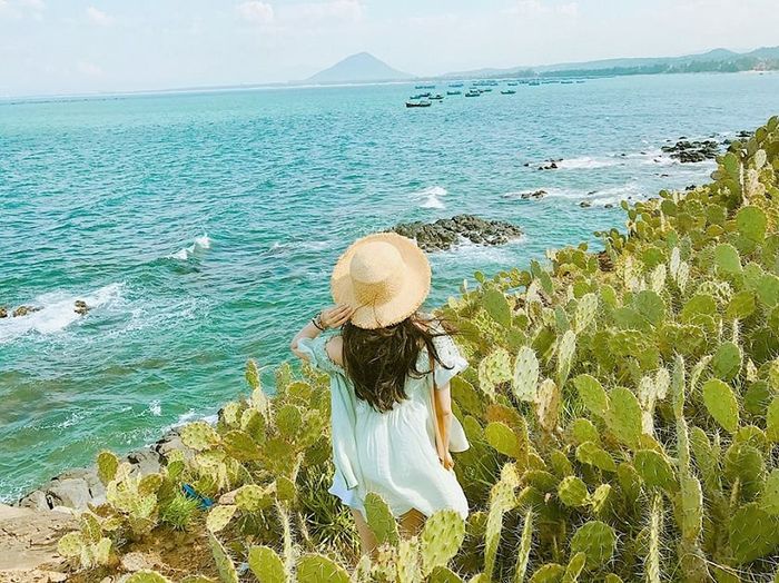 Bãi Xép Phú Yên – vẻ đẹp hoang sơ trên bản đồ du lịch Việt Nam