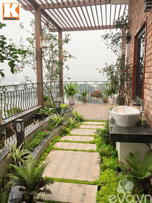 Bể nước nhỏ trồng sen, súng xen kẽ hoa hồng, đa dạng hóa cảnh quan vườn hoa gần Hồ Tây.