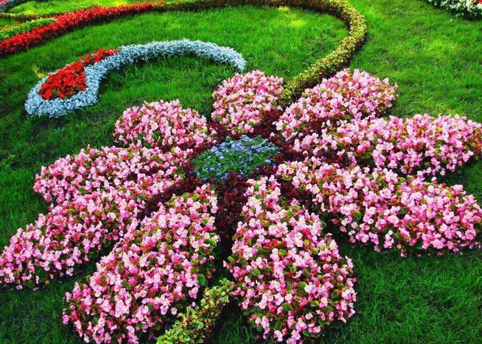 Bố cục vườn hoa đẹp và hài hòa với các luống hoa được sắp xếp tinh tế, tạo điểm nhấn ấn tượng.