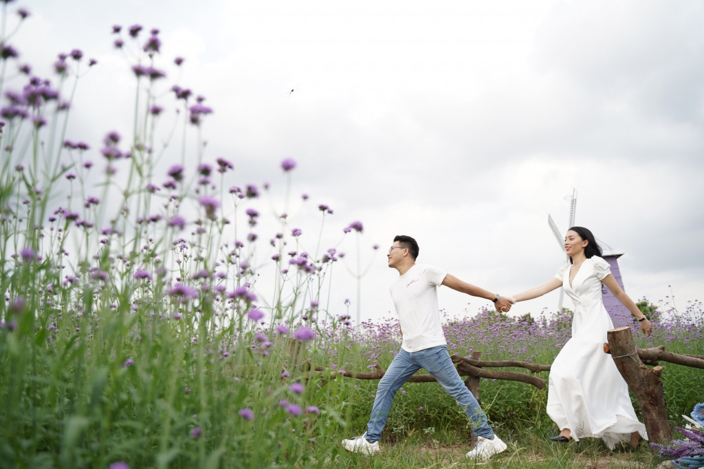Các góc chụp độc đáo khác tại Thung lũng Thảo Nguyên, Hà Nội, bổ sung cho vẻ đẹp oải hương