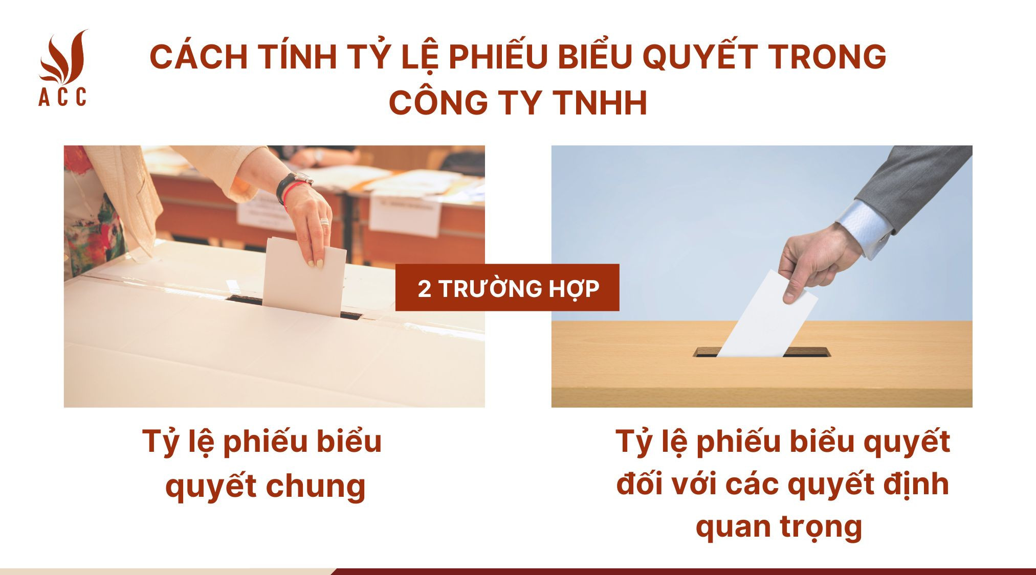 Tổng quan về cách tính tỷ lệ biểu quyết trong công ty TNHH