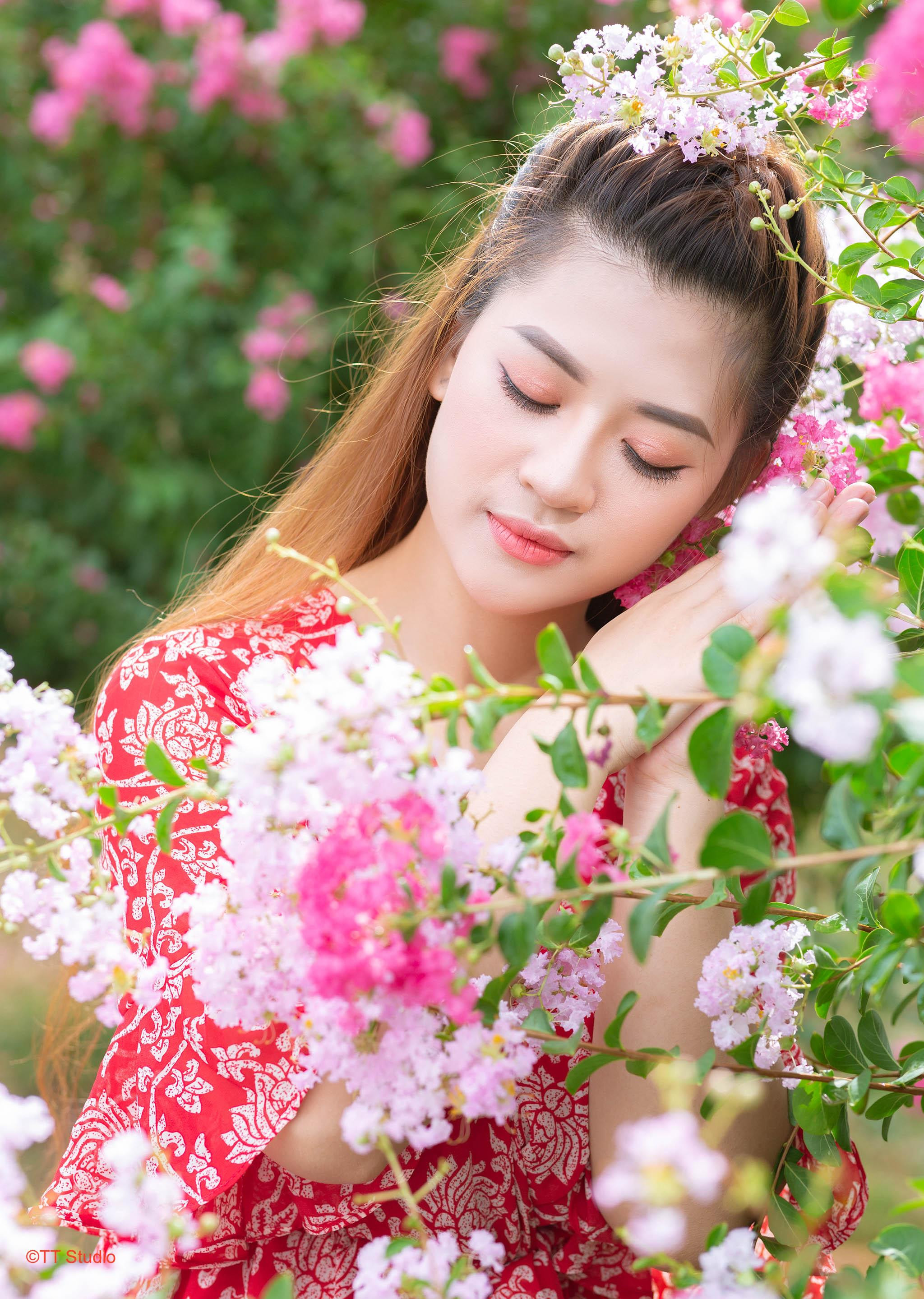 Cận cảnh hoa tường vi Tam Hiệp Thanh Trì