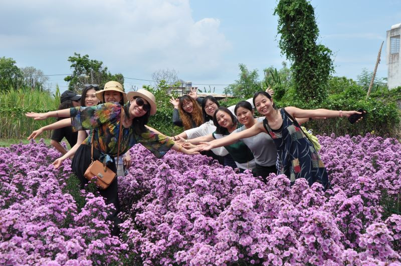 Cận cảnh vẻ đẹp tinh khôi và quyến rũ của những đóa thạch thảo tím tại Vũng Tàu