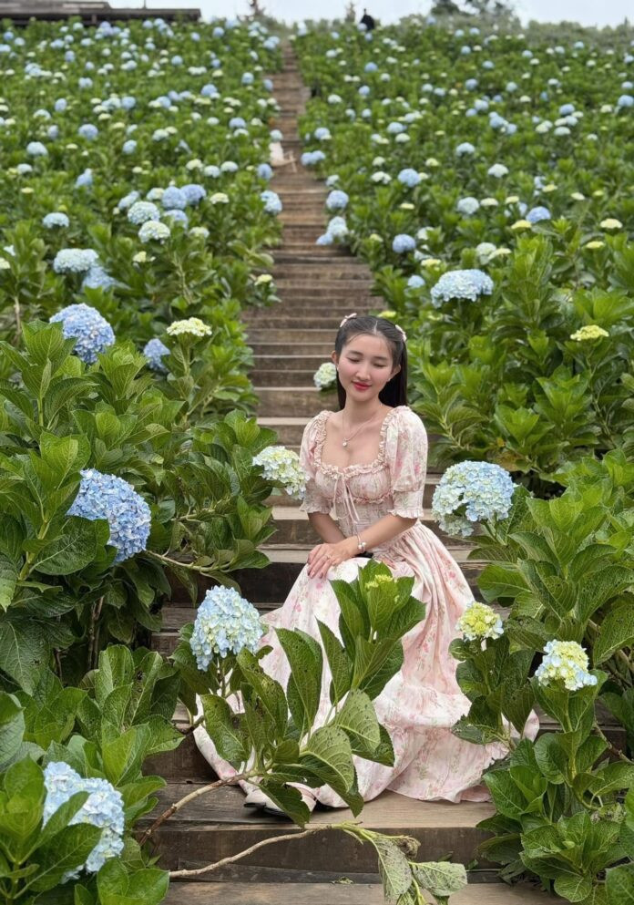 Cánh đồng hoa cẩm tú cầu The Florest – Hoa trong rừng với sắc xanh tím ngập tràn, điểm đến mới lạ của du lịch Đà Lạt.