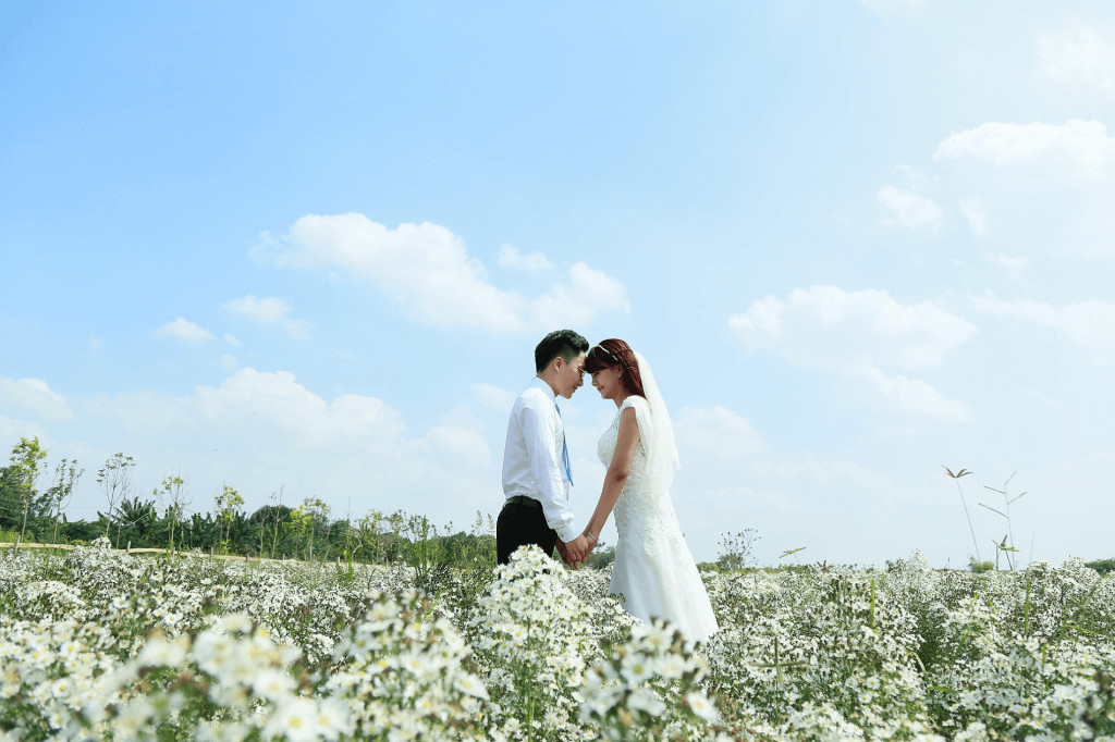 Cặp đôi chụp ảnh cưới lãng mạn tại Thảo nguyên hoa Long Biên