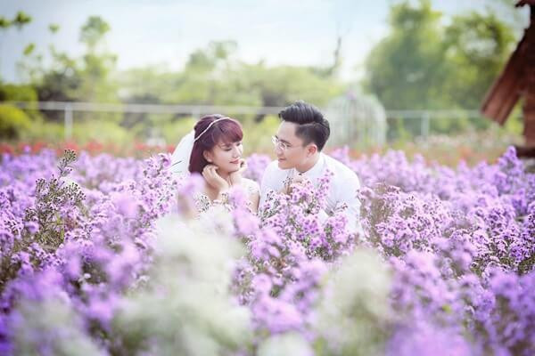 Cặp đôi hạnh phúc chụp ảnh cưới giữa vườn hoa Thạch Thảo tại Long Biên