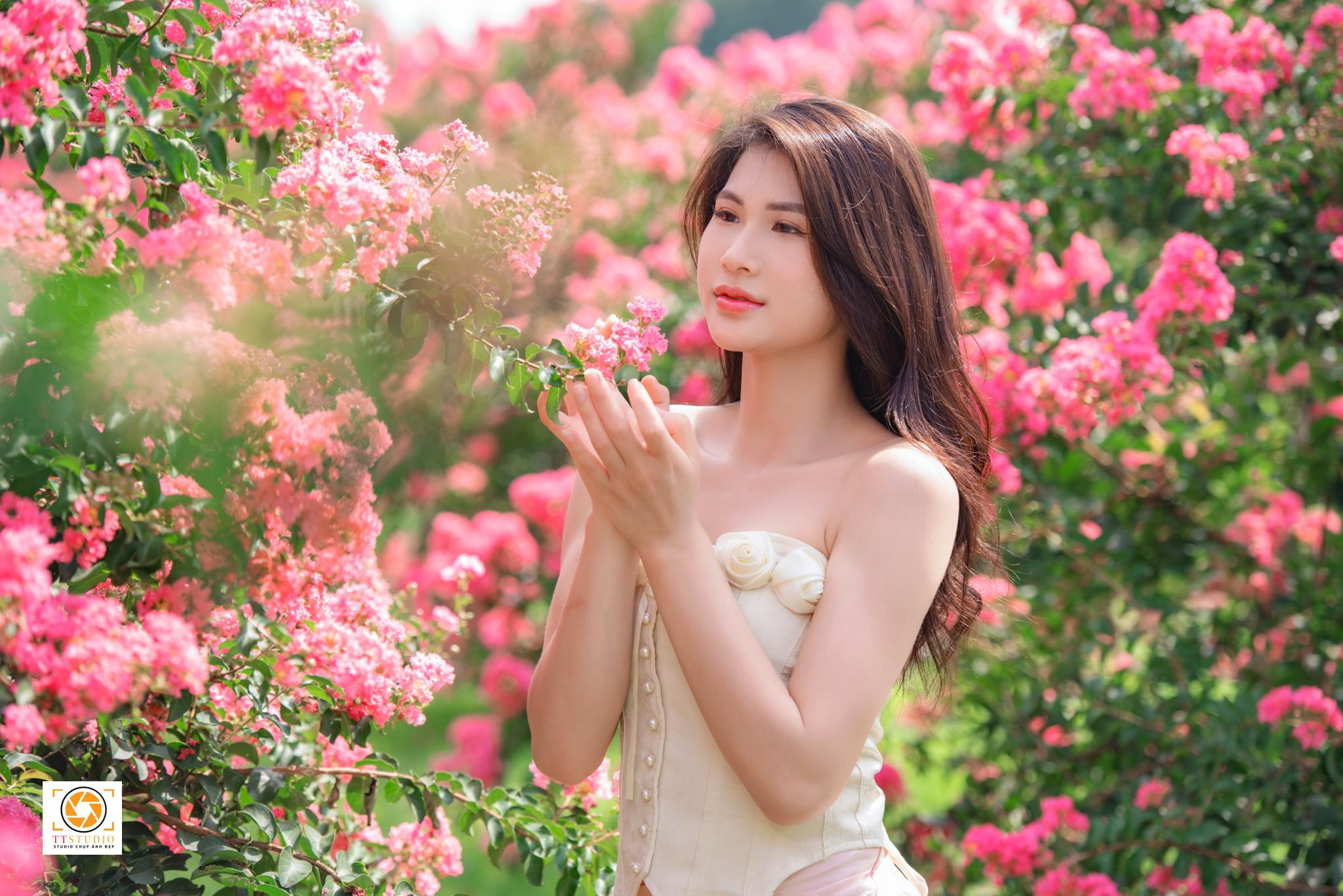 Cặp đôi hạnh phúc tạo dáng giữa những hàng tường vi nở rộ tại Vườn hoa tường vi Hà Nội
