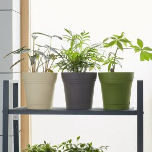 Chậu trồng hoa đỗ quyên với thiết kế 2 đáy giúp thoát nước hiệu quả cho nhà vườn