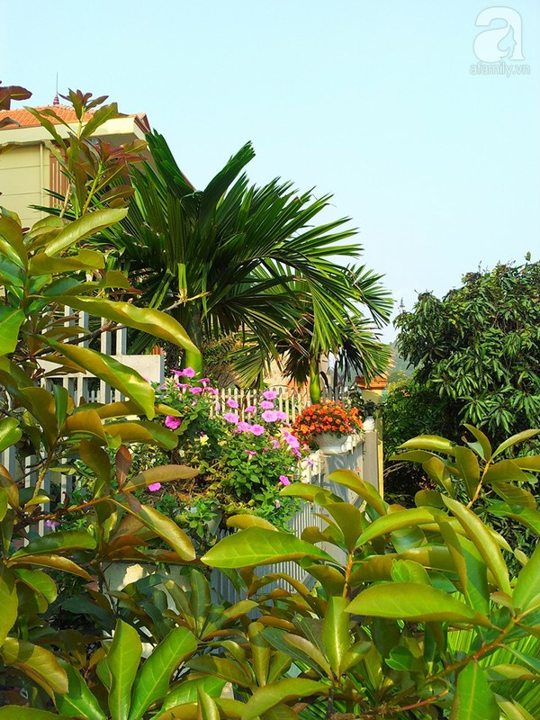 Chị Hồng Thanh bên bộ sưu tập hoa phong phú của mình, minh chứng cho kinh nghiệm trồng hoa dày dặn ở Quảng Ninh
