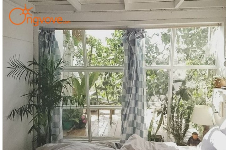Chờ Đợi Homestay, nơi tận hưởng khung cảnh rừng thông Đà Lạt thơ mộng