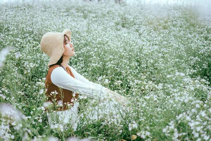 Cô gái đội mũ cói tạo dáng chụp ảnh tại vườn hoa cải trắng Đà Lạt vào tháng 11