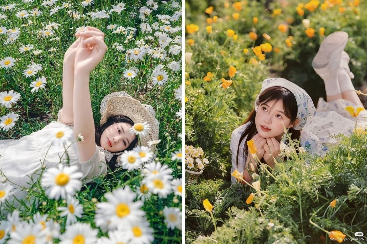 Cô gái nằm giữa vườn hoa hướng dương, một tay đưa lên che nắng