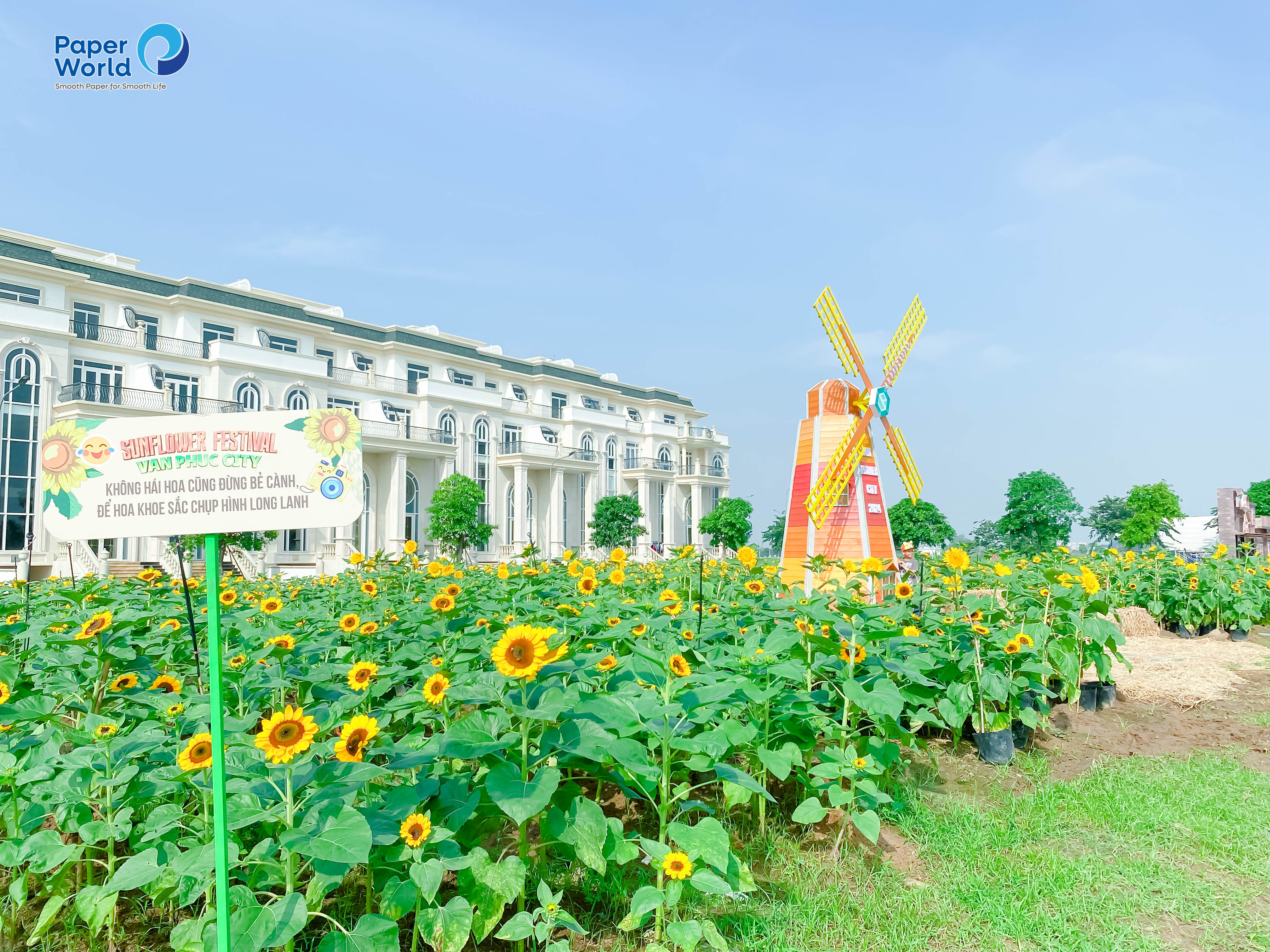 Cối xay gió cổ kính đứng vững giữa cánh đồng hướng dương tại Vườn hoa hướng dương tại Thủ Đức, tạo điểm nhấn kiến trúc độc đáo và ấn tượng cho du khách chụp ảnh.
