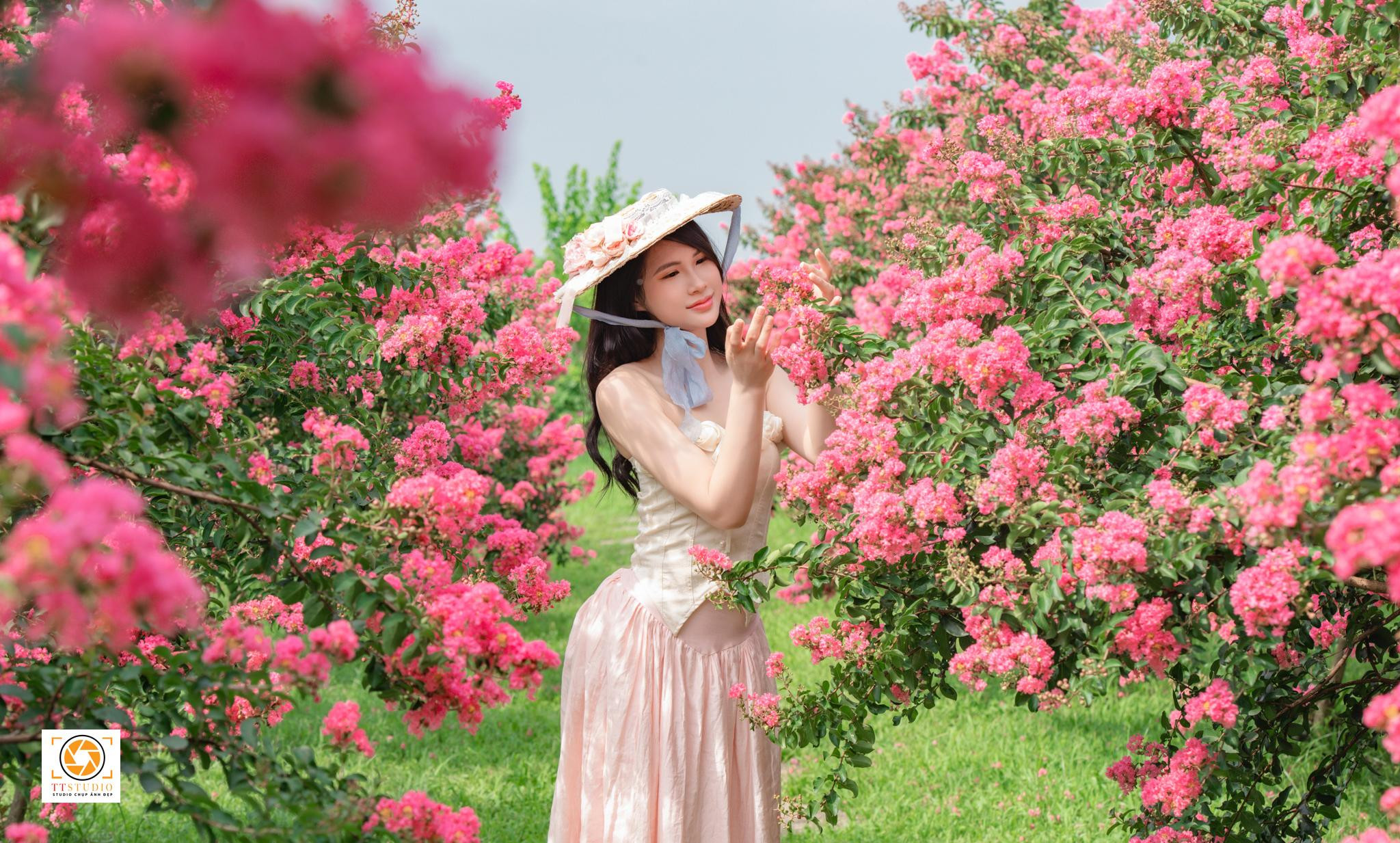 Con đường hoa tường vi thơ mộng dẫn lối vào Vườn hoa tường vi Hà Nội
