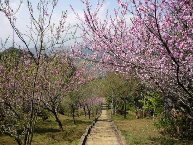 Cổng Trời Hàm Rồng Sapa với vẻ đẹp huyền ảo giữa vách đá và mây