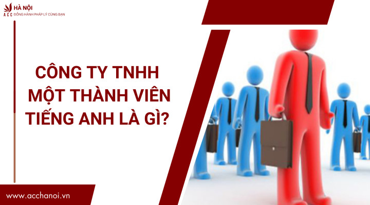 Công ty TNHH MTV tiếng Anh là gì: Một khái quát về hình thức doanh nghiệp