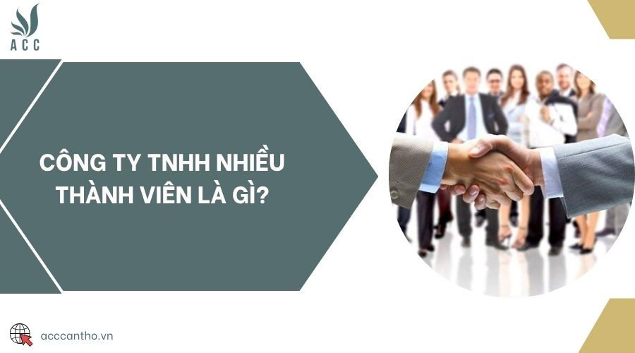 Minh họa công ty TNHH nhiều thành viên và các yếu tố liên quan đến vốn, trách nhiệm