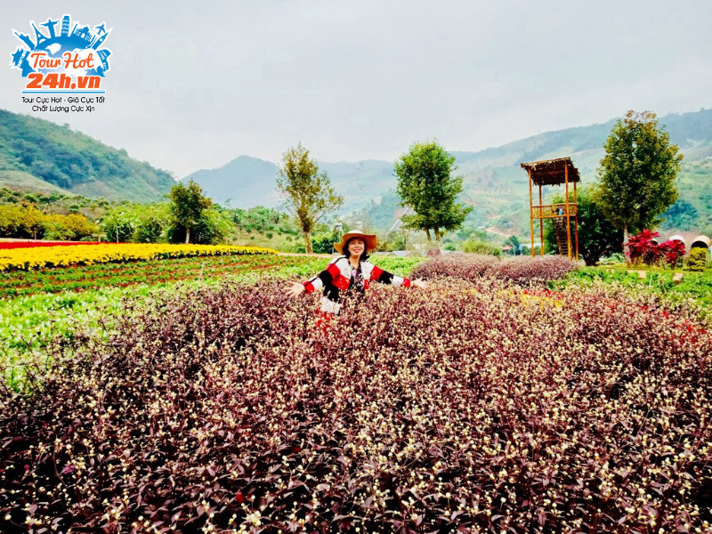 Cổng vào khu du lịch Happy Land Mộc Châu nổi bật với kiến trúc truyền thống