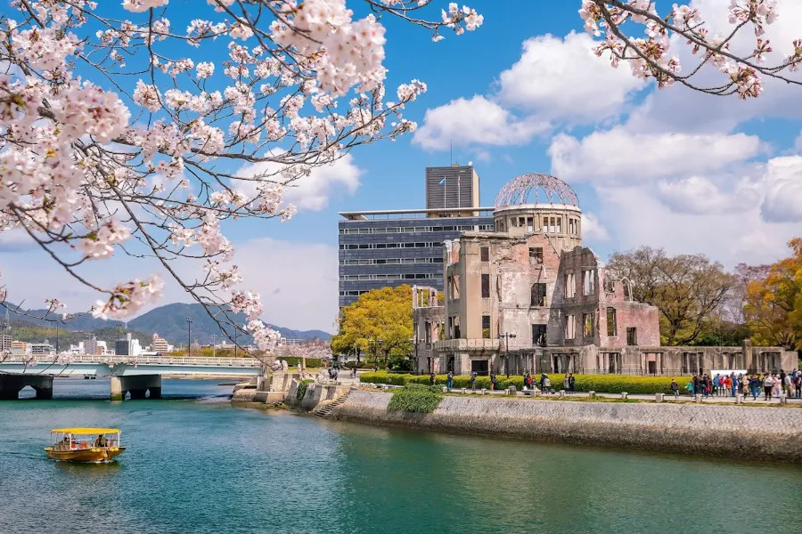 Công viên Hiroshima Peace Memorial với những hàng hoa anh đào Nhật Bản nở rộ, biểu tượng của hòa bình và sự hồi sinh