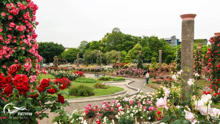 Công viên hoa hồng Parc de la Tete d’Or tại Pháp