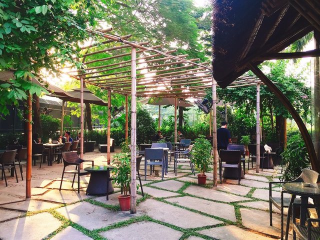 Vườn hoa hồng khoe sắc dưới nắng chiều tại Fresh Garden, ốc đảo xanh giữa lòng Hà Nội