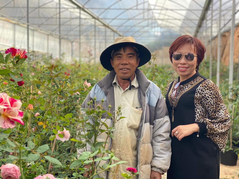 Đa dạng chủng loại hoa hồng tại vườn chú Tám