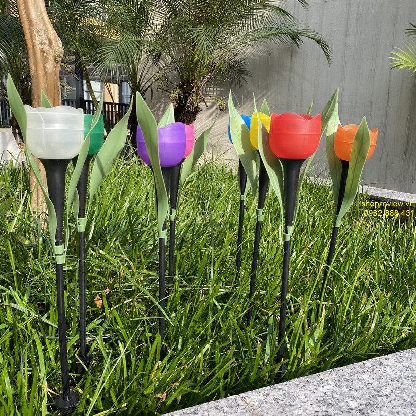 Đèn hoa tulip năng lượng mặt trời màu hồng và tím trên bãi cỏ