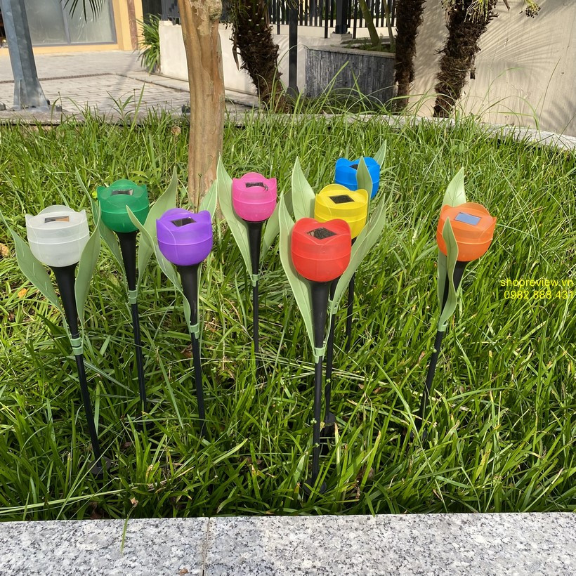 Đèn hoa tulip năng lượng mặt trời màu tím sáng trên thảm cỏ