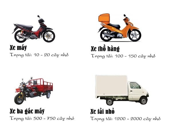 Dịch vụ vận chuyển cây cảnh chuyên nghiệp, đảm bảo cây tươi tốt cho cảnh vườn hoa Đà Lạt