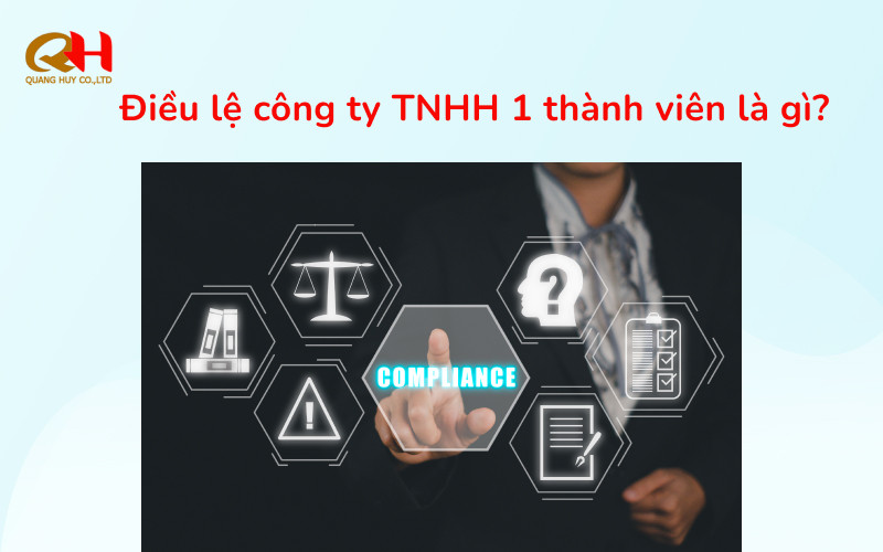 điều lệ công ty tnhh 1 thành viên là gì