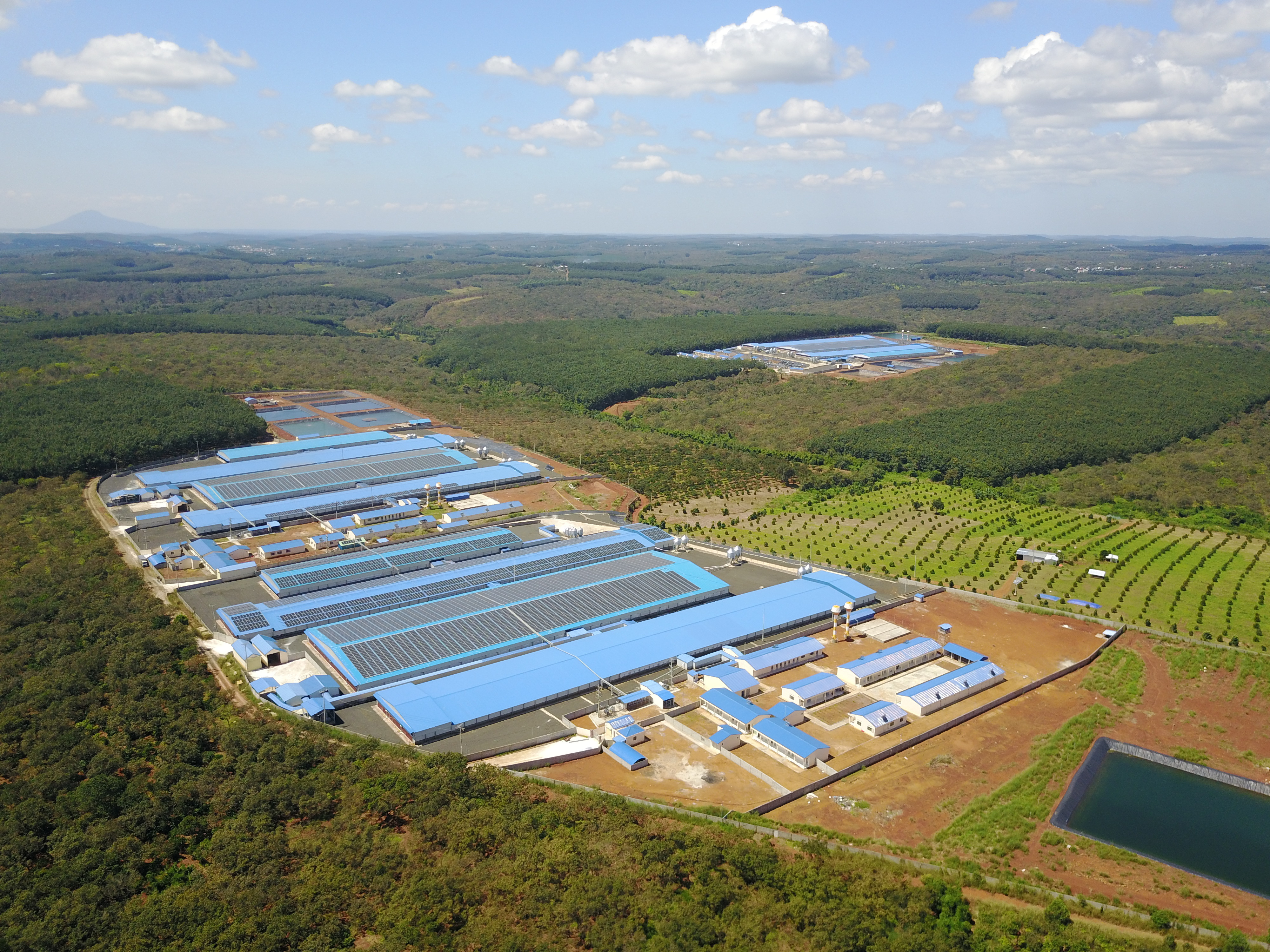 Toàn cảnh một trang trại chăn nuôi quy mô lớn của CÔNG TY TNHH JAPFA COMFEED VIỆT NAM, minh họa công nghệ chăn nuôi tiên tiến.