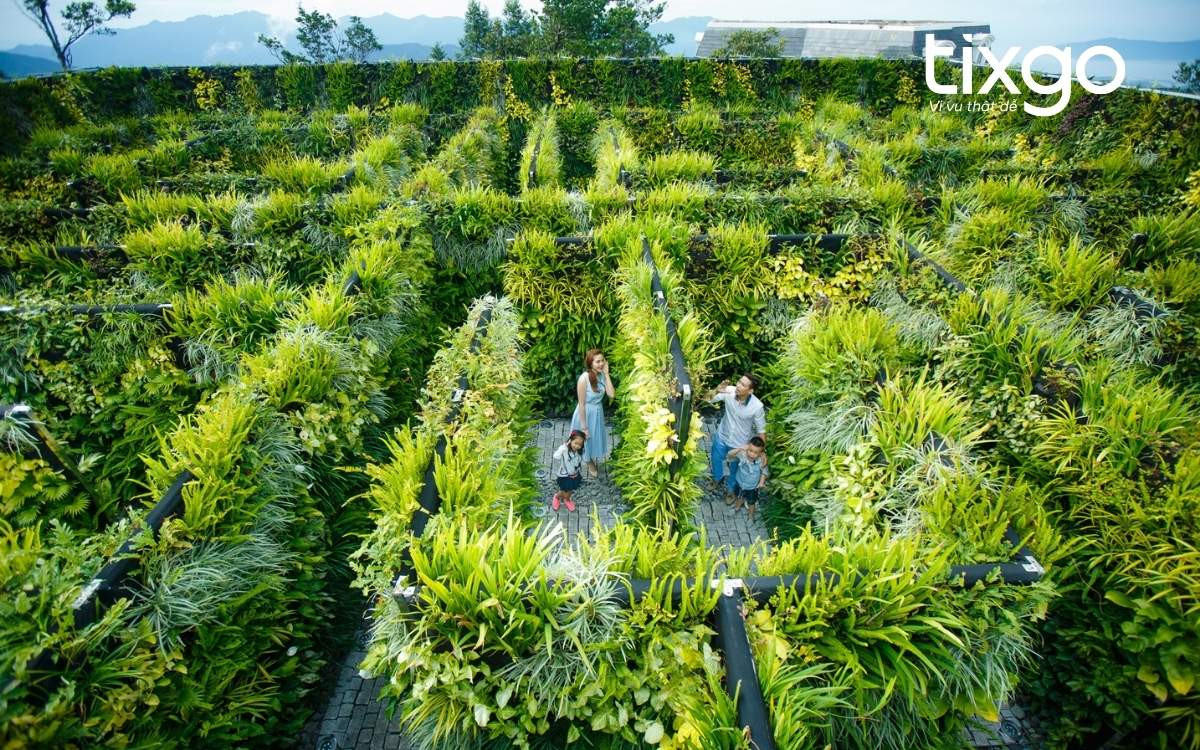Độc đáo vườn bí ẩn của vườn hoa Le Jardin D’Amour, với những bức tường cây xanh