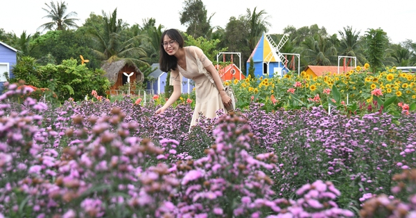 Khung cảnh yên bình tại một trong những vườn hoa đẹp ở TPHCM, với đa dạng sắc màu của các loài hoa đang khoe sắc