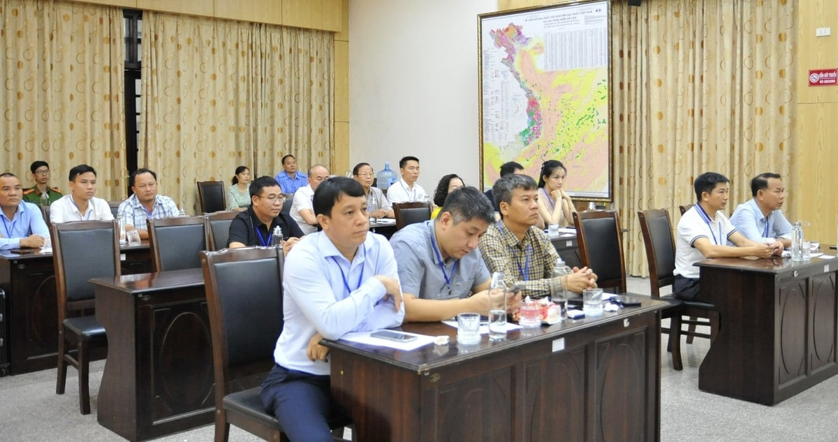 Đông đảo tổ chức tham gia phiên đấu giá quyền khai thác khoáng sản, thể hiện vai trò của CÔNG TY TNHH ĐẤU GIÁ TÀI SẢN NAM VIỆT trong việc kết nối các nhà đầu tư tiềm năng.
