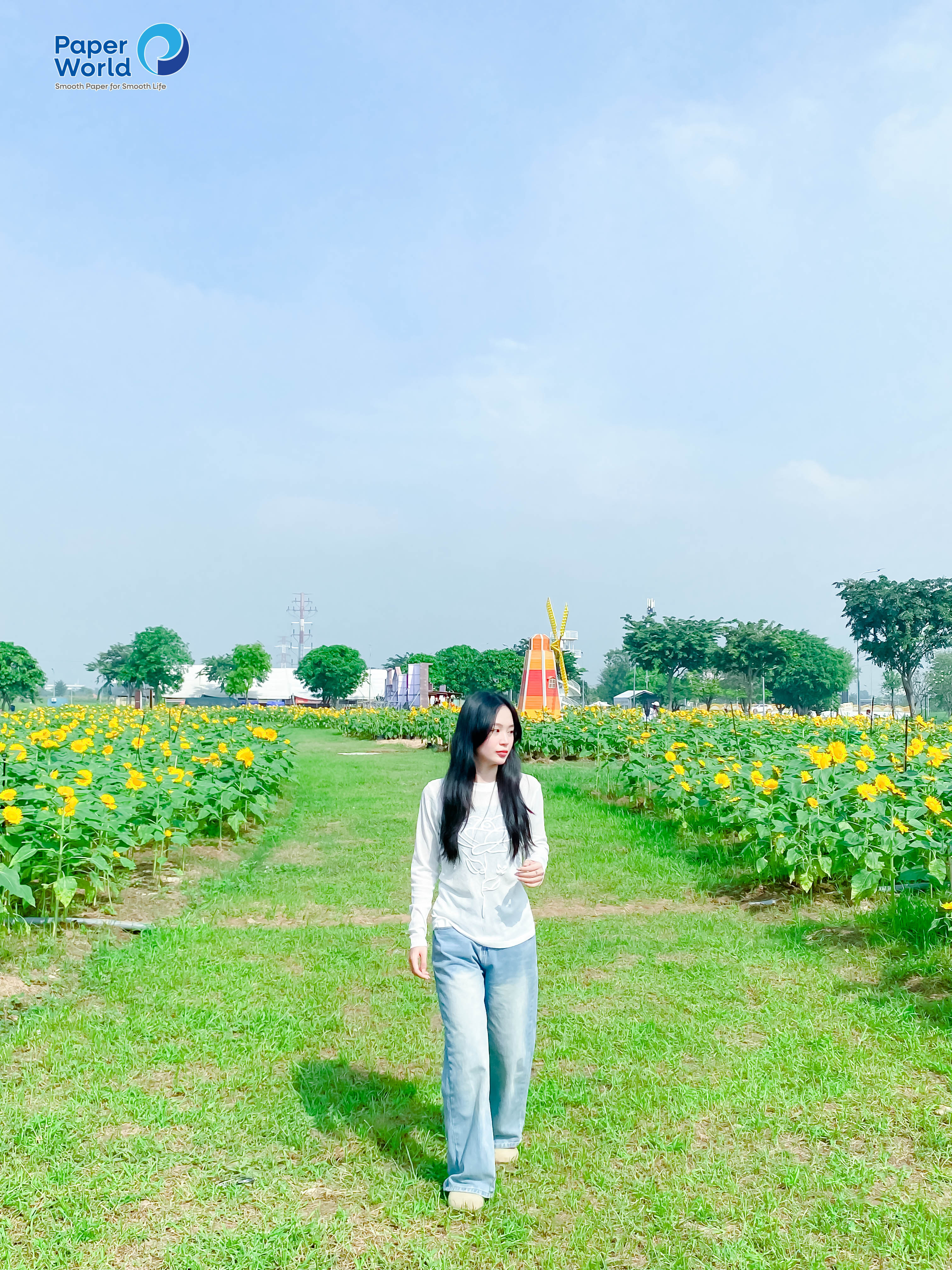 Du khách đang tận hưởng không khí lễ hội và chụp ảnh trong vườn hoa hướng dương tại Thủ Đức vào buổi chiều tà, với ánh nắng vàng ấm áp chiếu rọi.