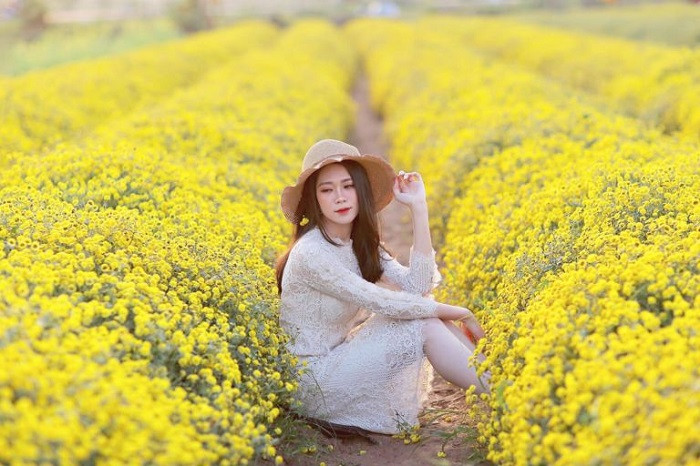 Du khách mơ màng giữa thiên nhiên hoa cúc chi