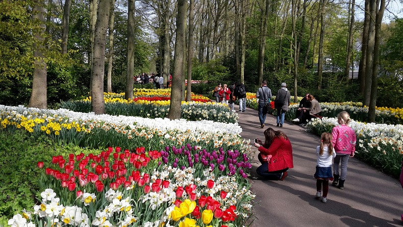 Du khách tản bộ trên những con đường trải sỏi giữa vườn hoa Keukenhof, tận hưởng cảnh sắc thiên nhiên