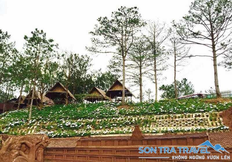Đường Hầm Điêu Khắc Đà Lạt điểm xuyết thêm vườn hoa cẩm tú cầu độc đáo