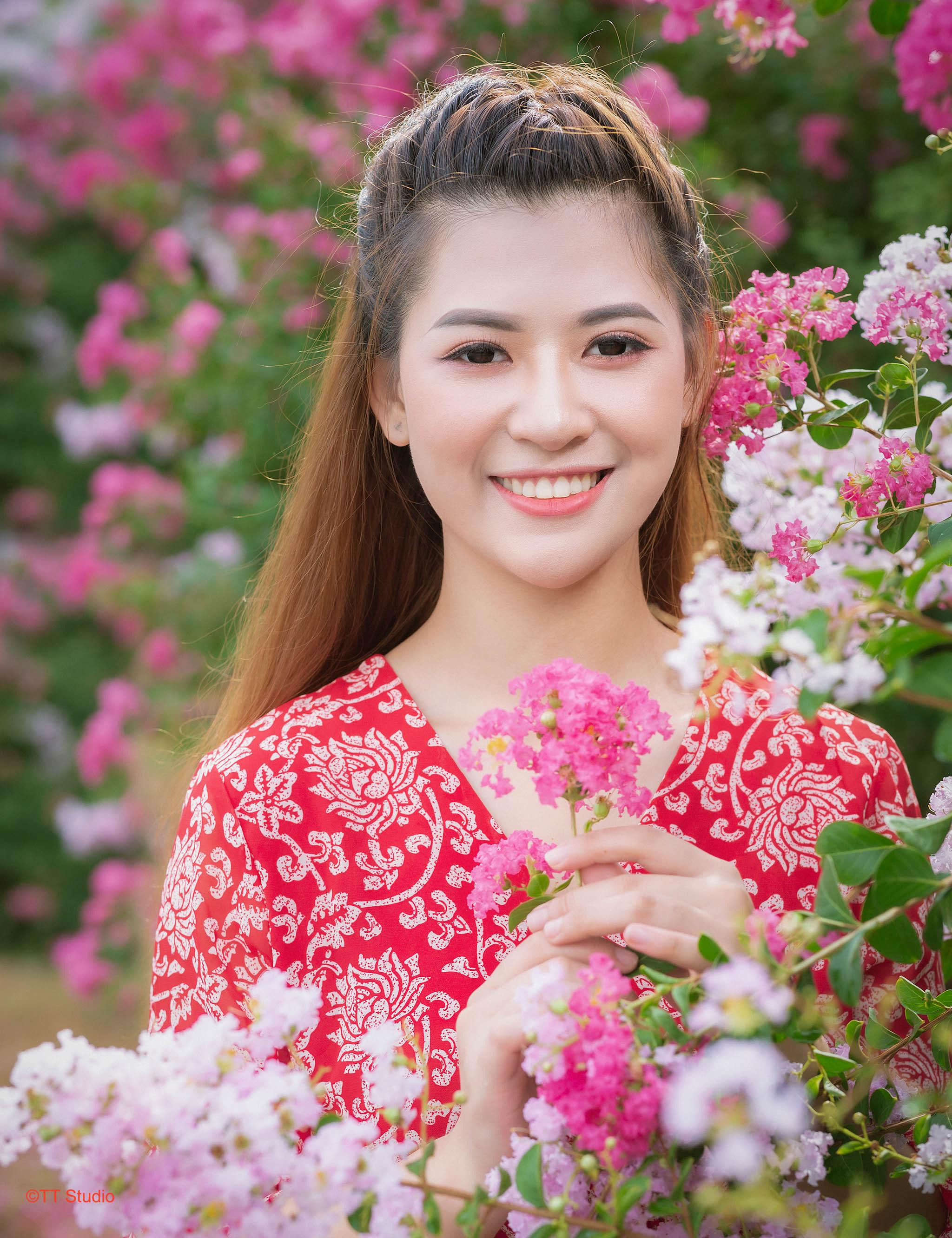 Đường hoa tường vi Tam Hiệp Thanh Trì với sắc hồng rực rỡ