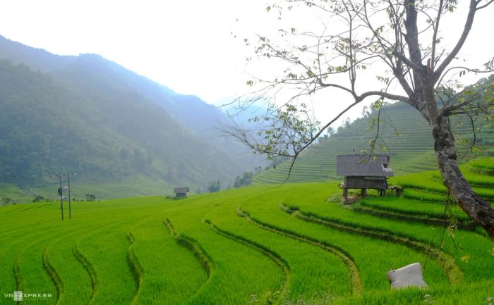 Bản Nậm Cang Sapa, địa điểm du lịch Sapa với ruộng bậc thang và suối