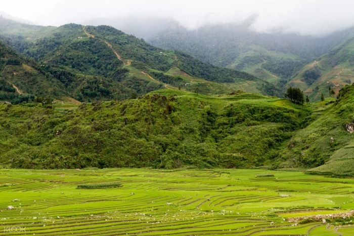 Bản Má Tra Sapa, địa điểm du lịch Sapa với văn hóa và thiên nhiên hòa quyện